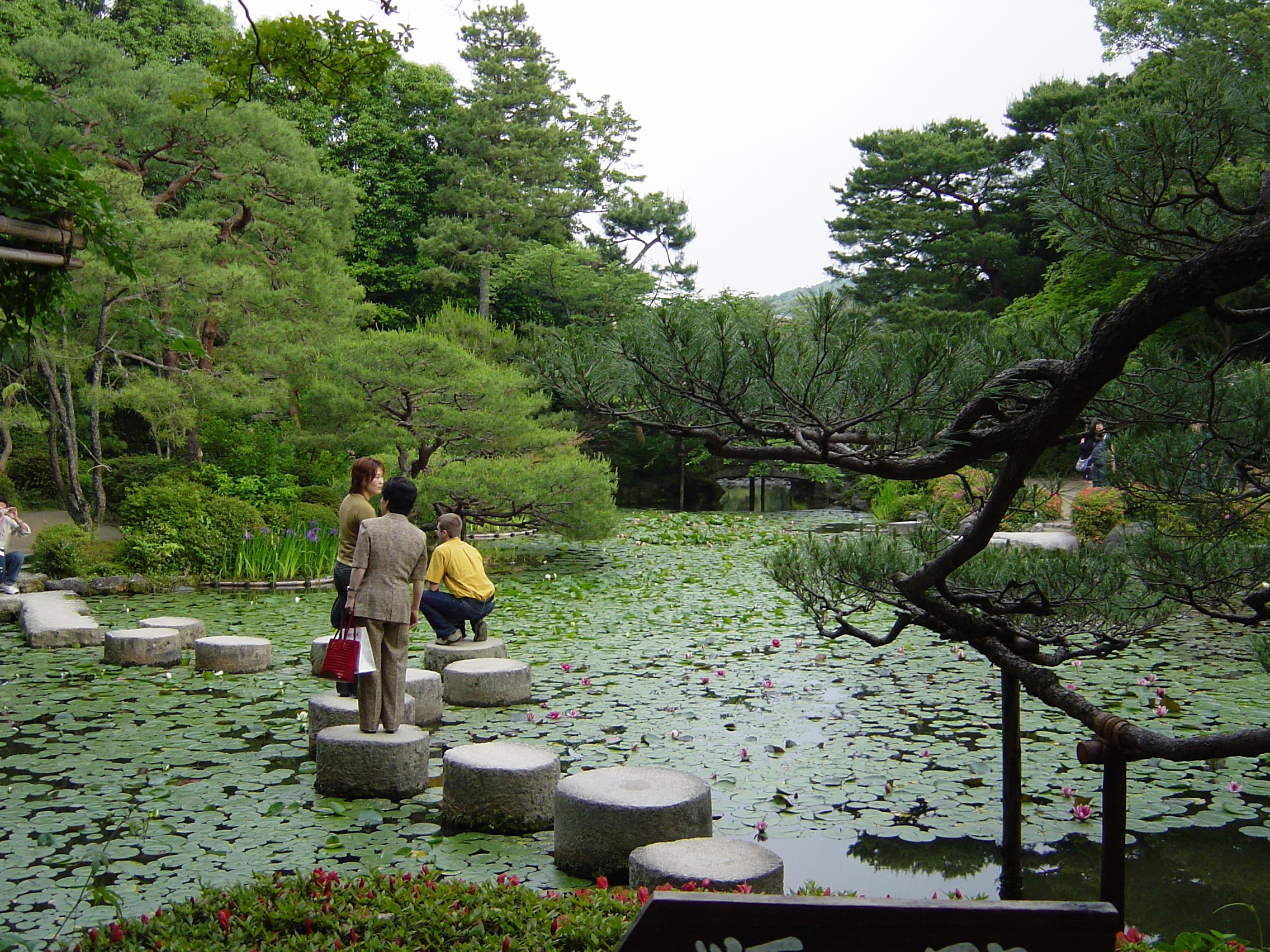 DSC00802.JPG