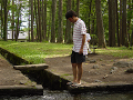 DSC01061_thumb.png