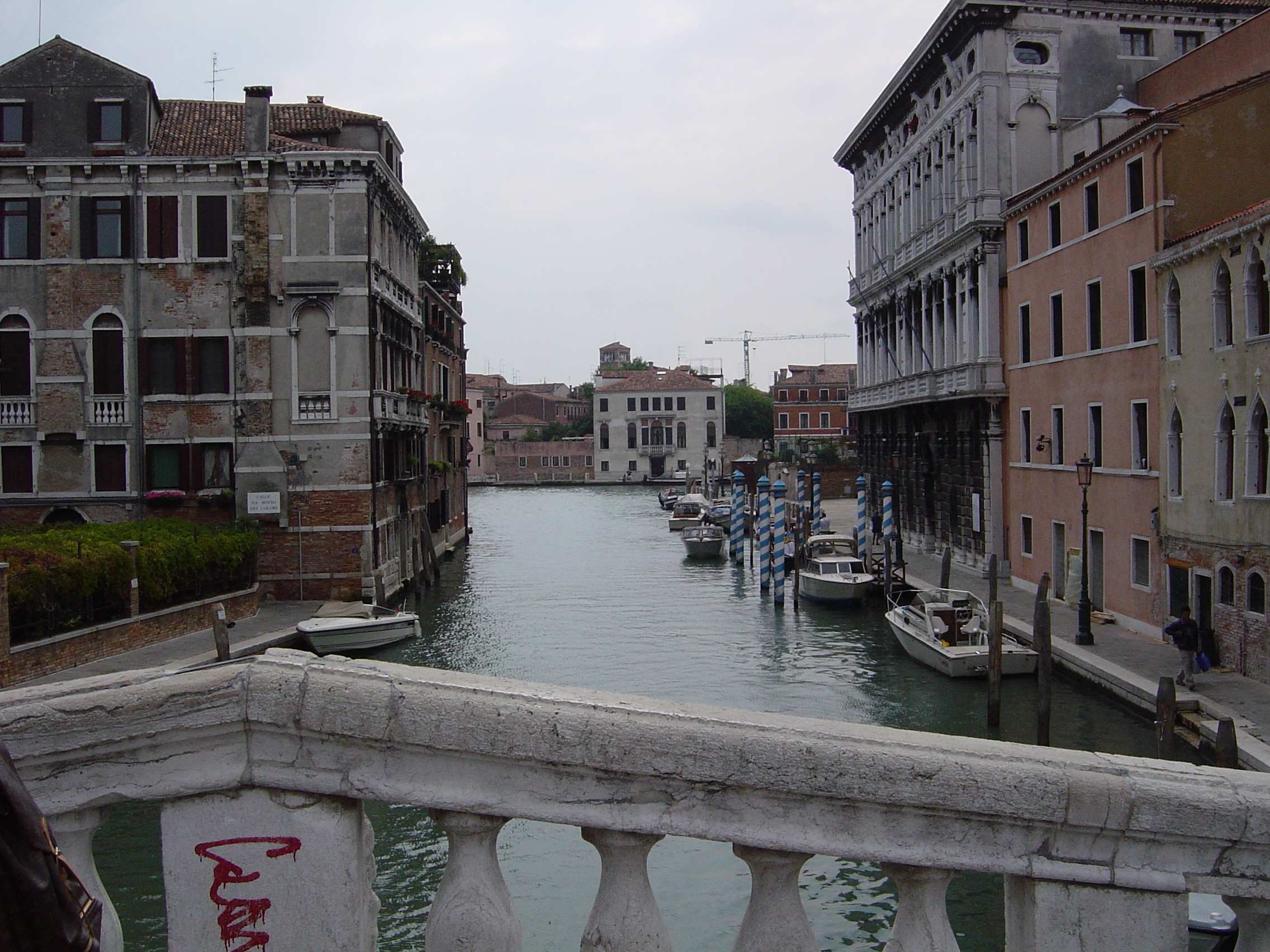 DSC01130.JPG