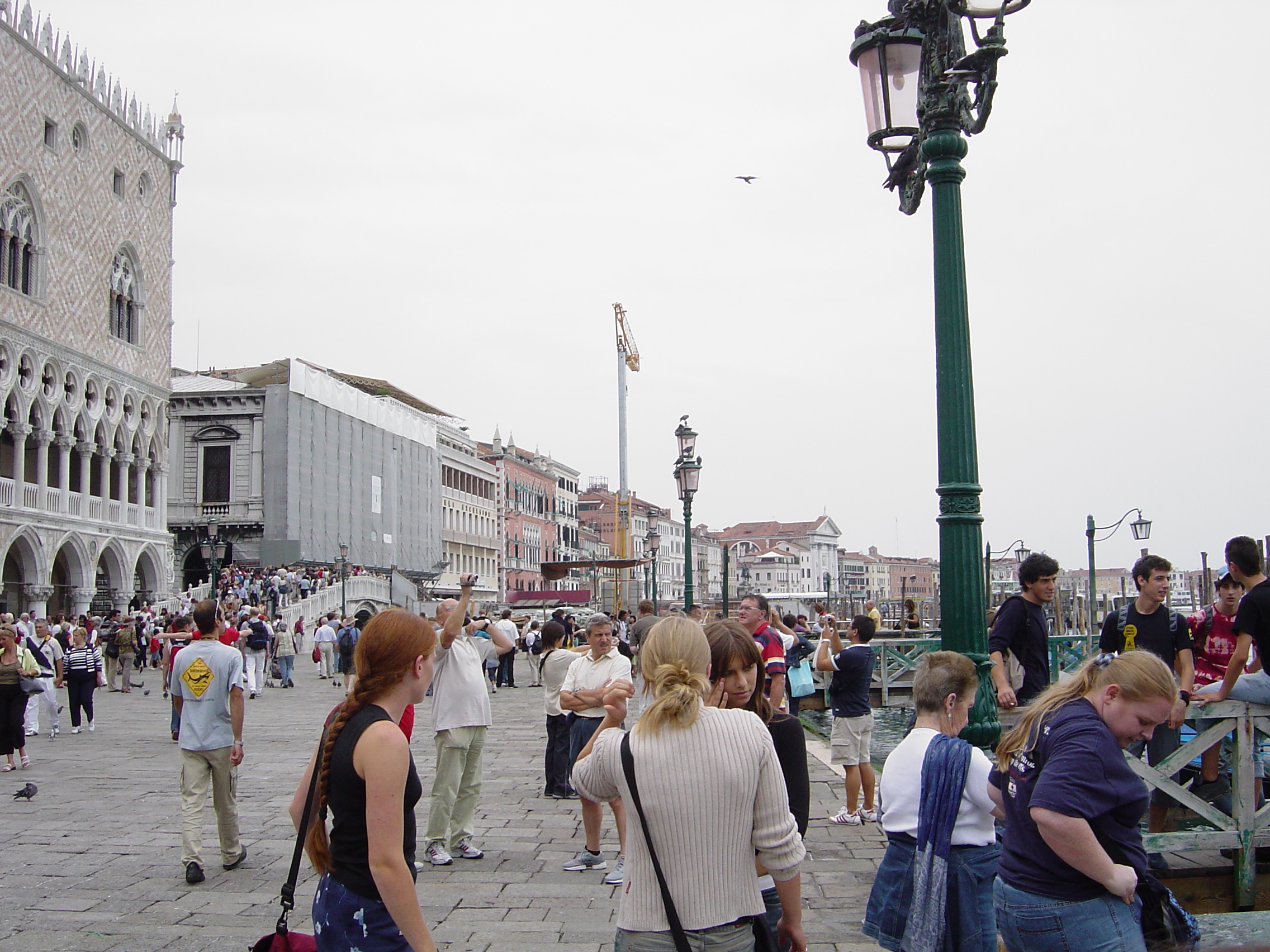 DSC01142.JPG