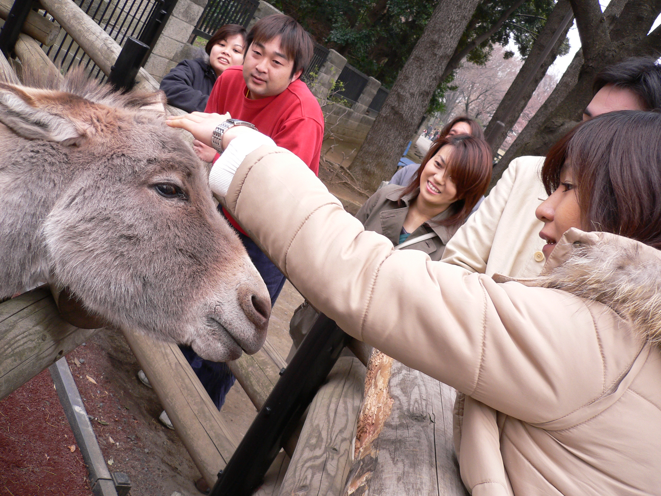 P1000208.JPG