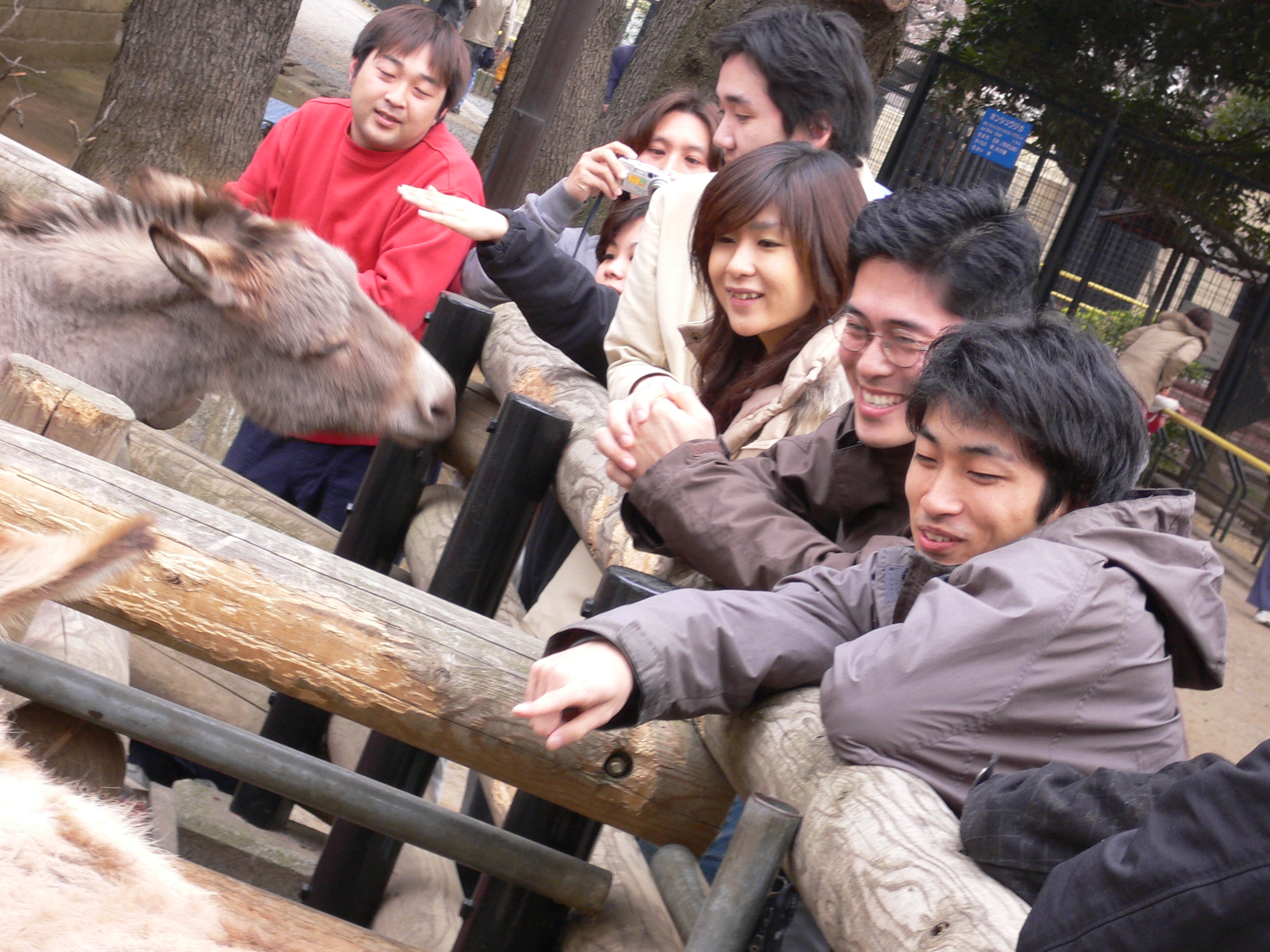 P1000210.JPG