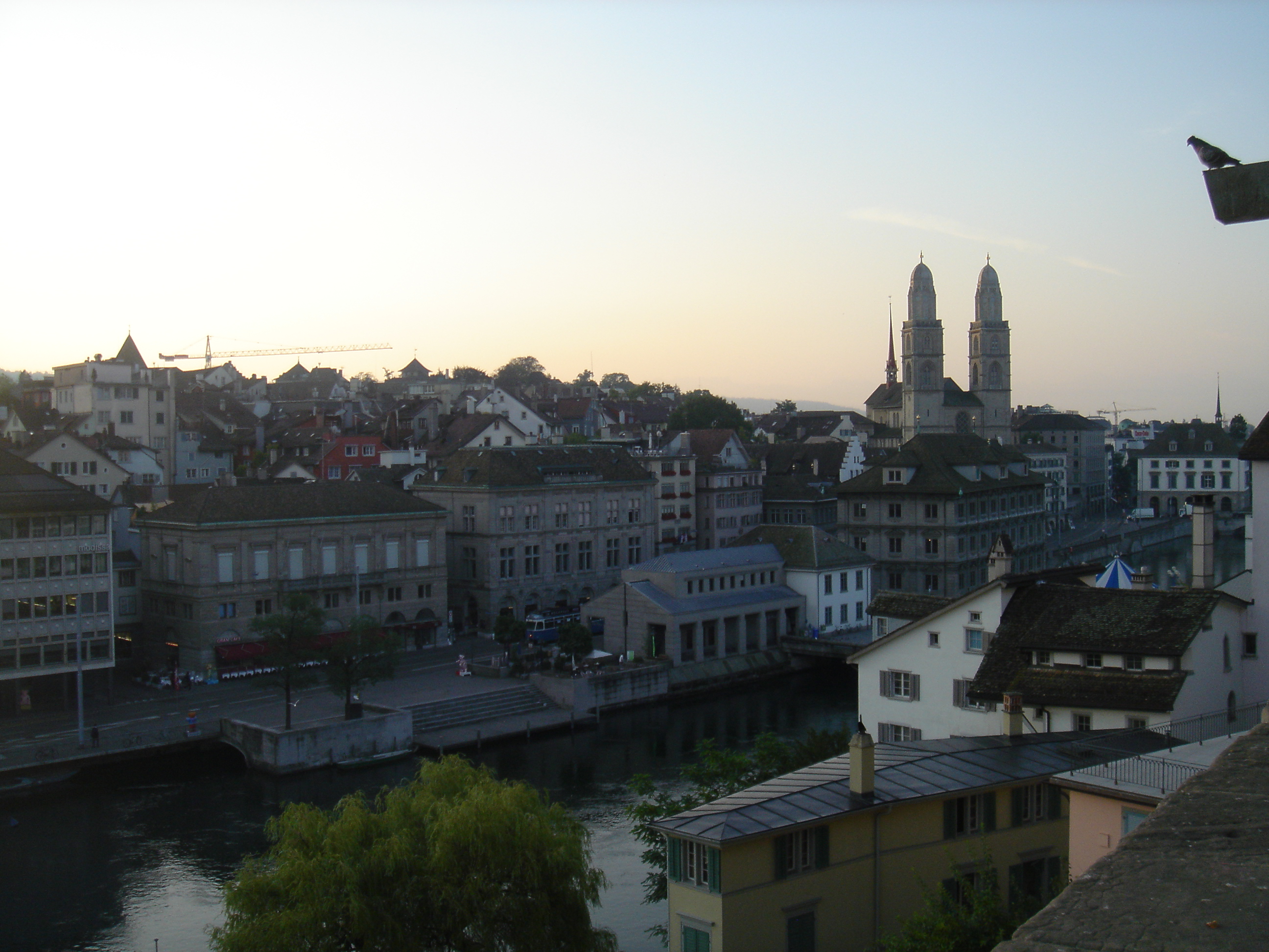 DSC02107.JPG