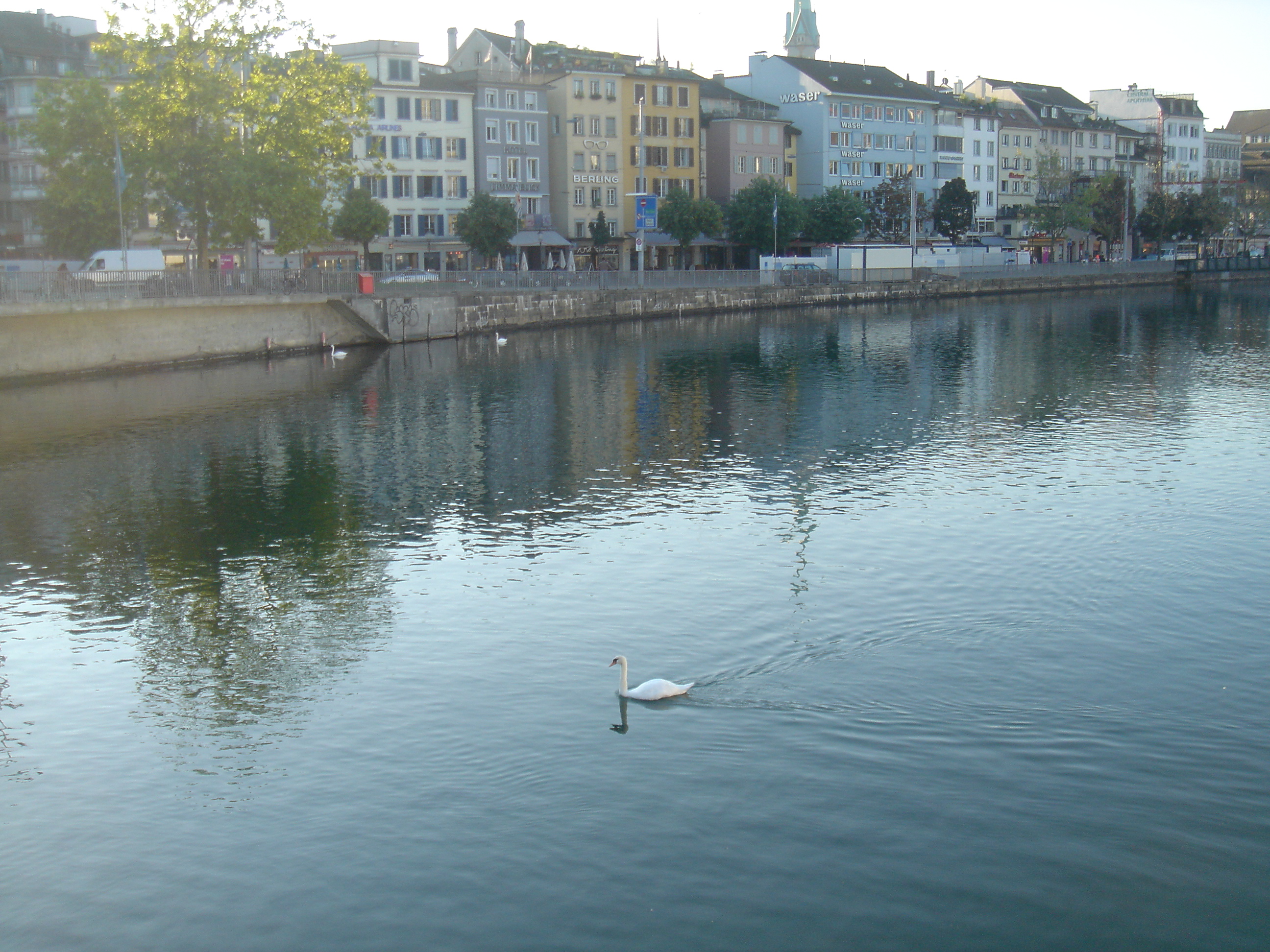 DSC02146.JPG