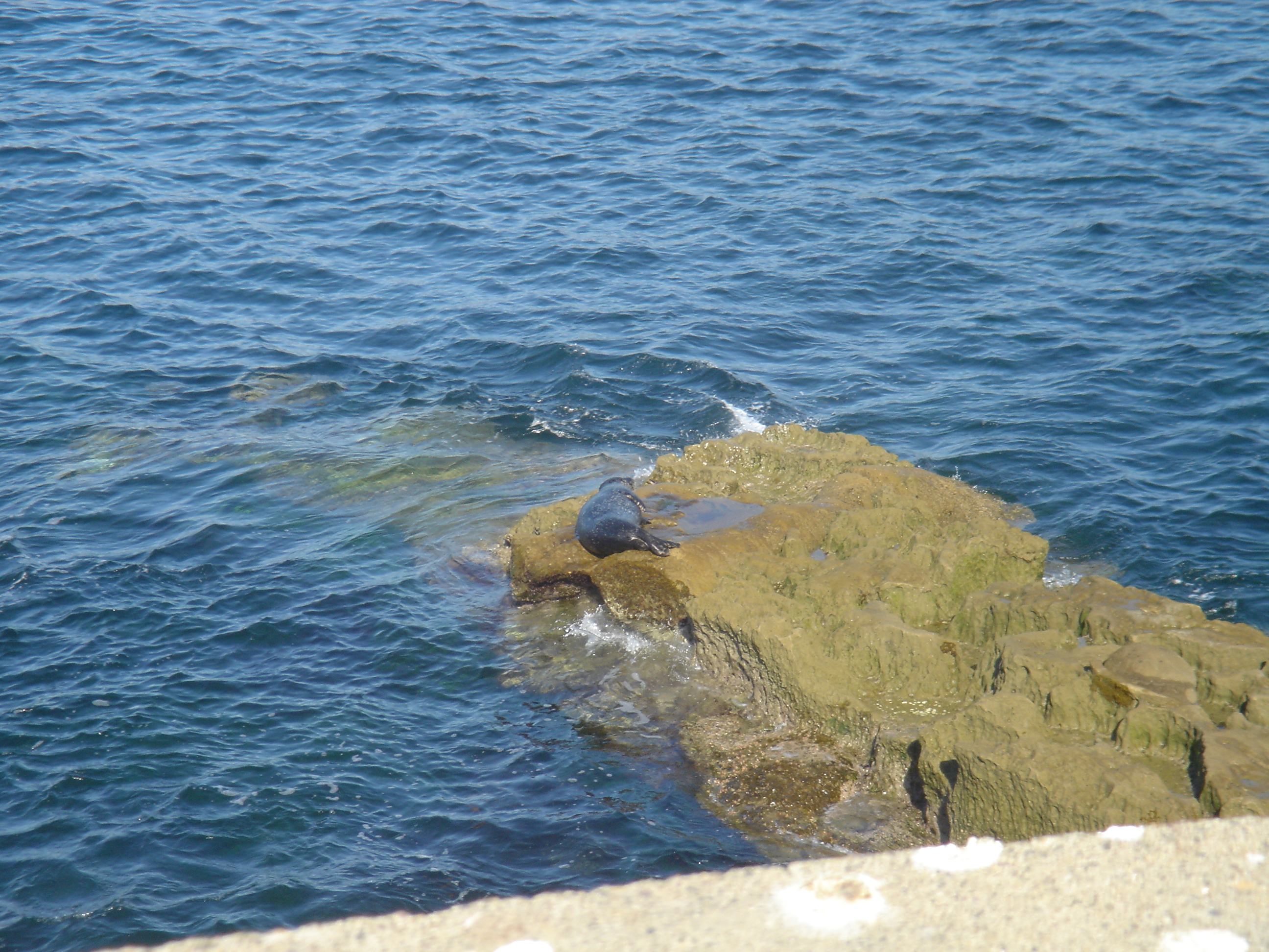 DSC03496.JPG