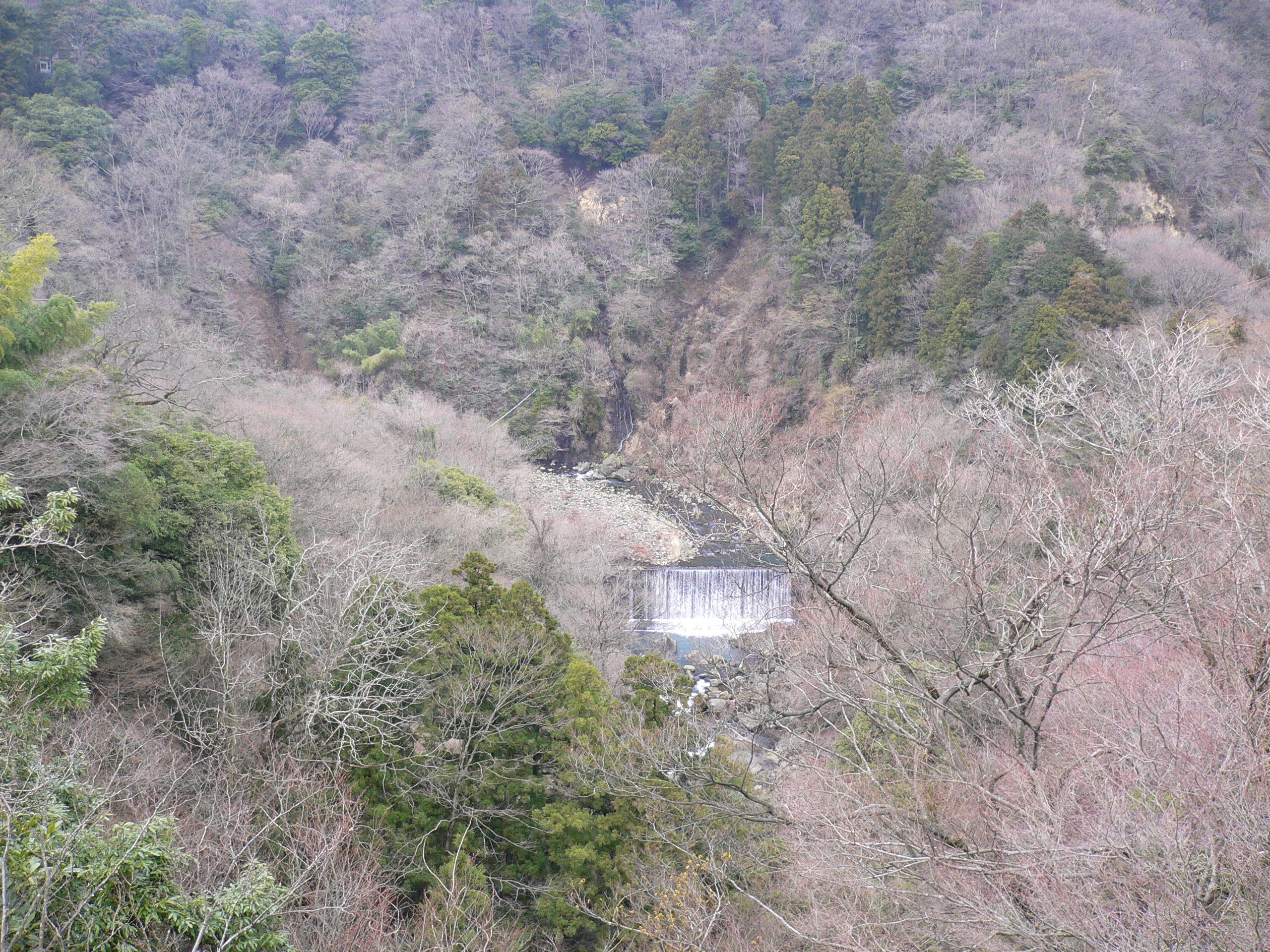 P1020410.JPG